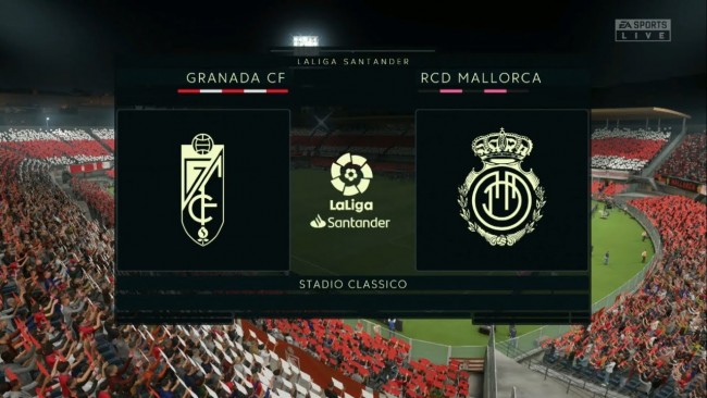 粉丝与公众 粉丝与公众